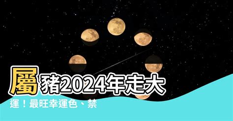 1971豬幸運色2023|1971年屬豬人2024年全年運勢運程71 